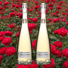 Rượu vang trắng Cote des Roses Chardonnay chai 750ml