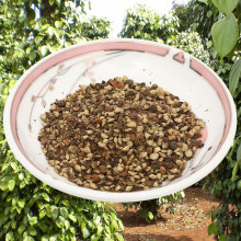 Tiêu Đen Xay Bể Tư