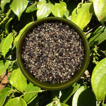 Tiêu Đen Xay Bể Tư