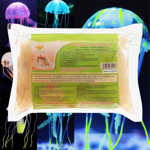 Nộm sứa Tĩnh Gia Nhật Minh gói 1kg