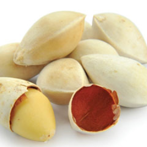 0814_Bạch quả