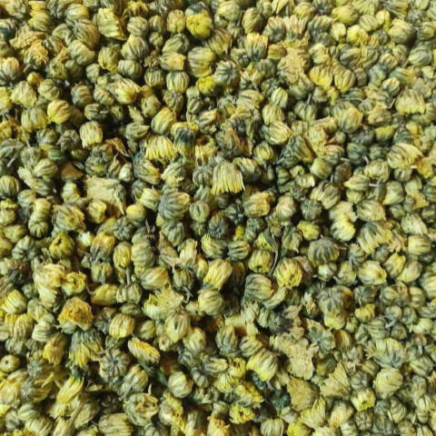 Nụ Hoa Cúc Sấy Khô