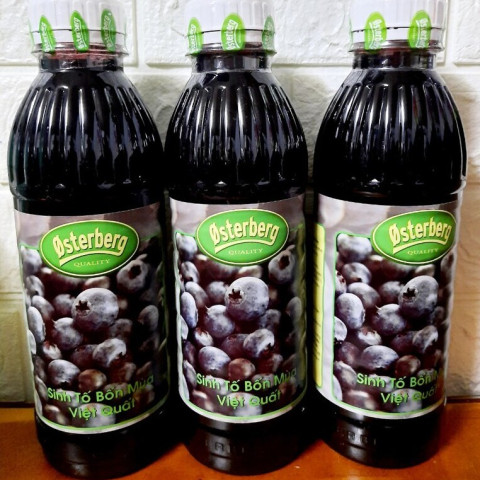 Sinh tố Việt Quất Osterberg 1L