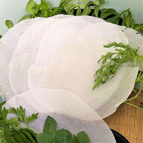 Bánh tráng phơi sương