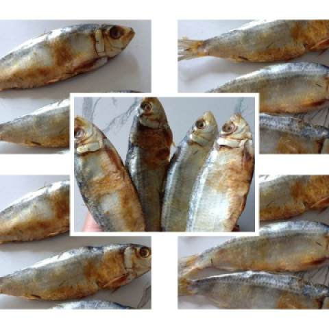 Cá trích khô