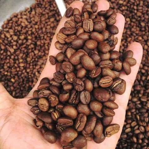 Cà Phê Hạt Arabica Robusta Trung Nguyên 3kg