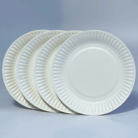 Đĩa Giấy Màu Trắng 13 cm 