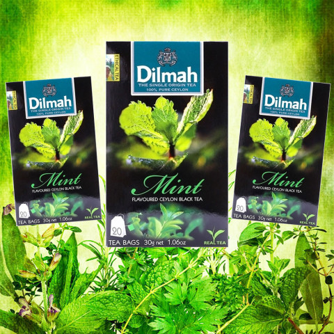 Trà Thảo Dược Bạc Hà Dilmah 30g