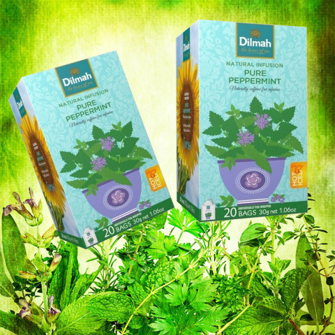 Trà Thảo Dược Bạc Hà Dilmah 30g