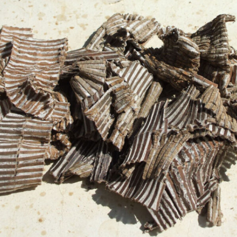 Đỗ trọng