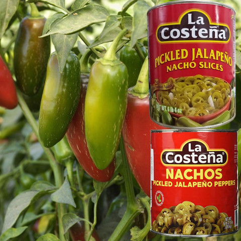 Ớt Cắt Lát Ngâm La Costena Pickled Jalapeno Nacho Slices 2778g