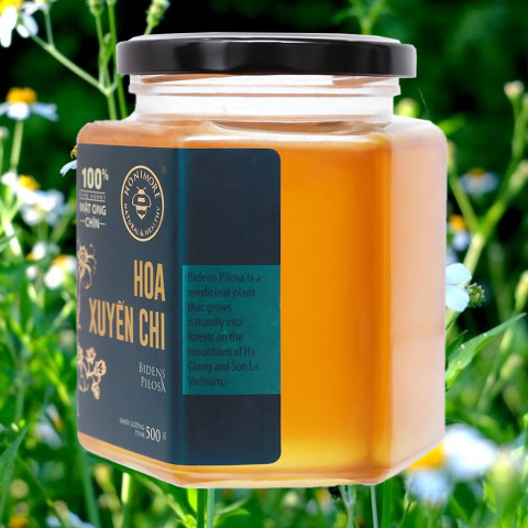 Mật ong chín hoa xuyến chi Honimore hũ 500g