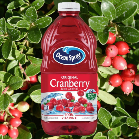 Nước Ép Nam Việt Quất Ocean Spray Cranberry Juice 1.89 Lít