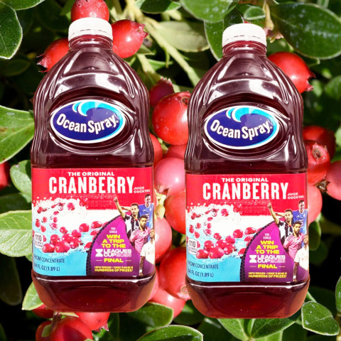 Nước Ép Nam Việt Quất Ocean Spray Cranberry Juice 1.89 Lít
