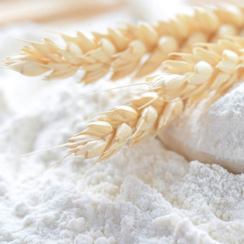 Bột mì Chìa Khóa Đỏ Red Key Wheat Flour 25kg