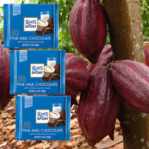 Sôcôla sữa 35% cacao Ritter Sport 100g F122070
