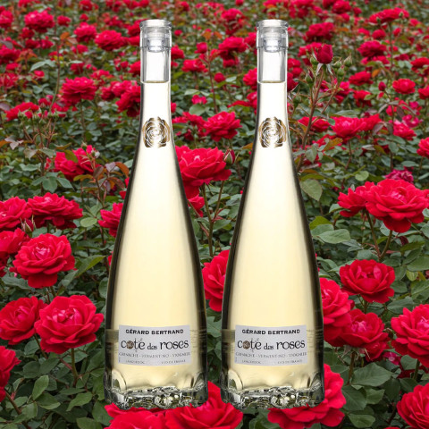 Rượu vang trắng Cote des Roses Chardonnay chai 750ml