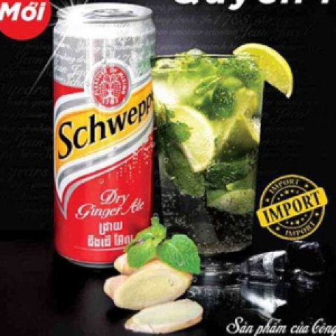 Nước soda hương gừng Schweppes Dry Ginger Ale 320ml