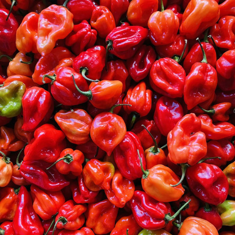 Sốt ớt Tabasco Habanero Pepper Sauce 60ml F102825