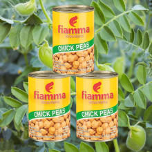 Đậu răng ngựa (Đậu gà) Fiamma Chick Peas 400g