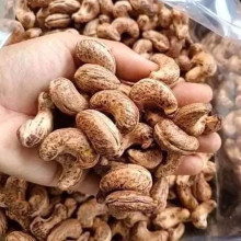 Hạt điều rang muối còn vỏ lụa