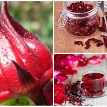 Hoa Atiso đỏ khô Dried Hibiscus 