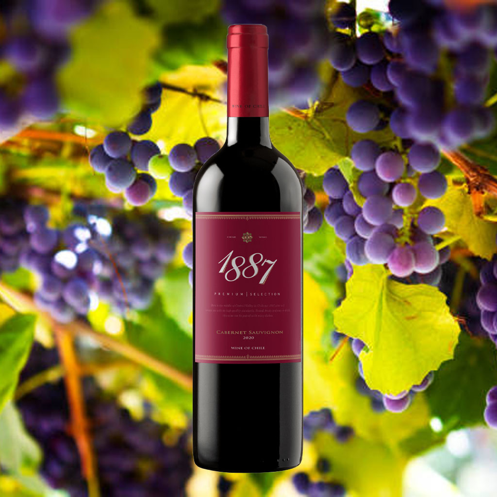 Rượu Vang Đỏ Chile 1887 Cabernet Sauvignon 750ml