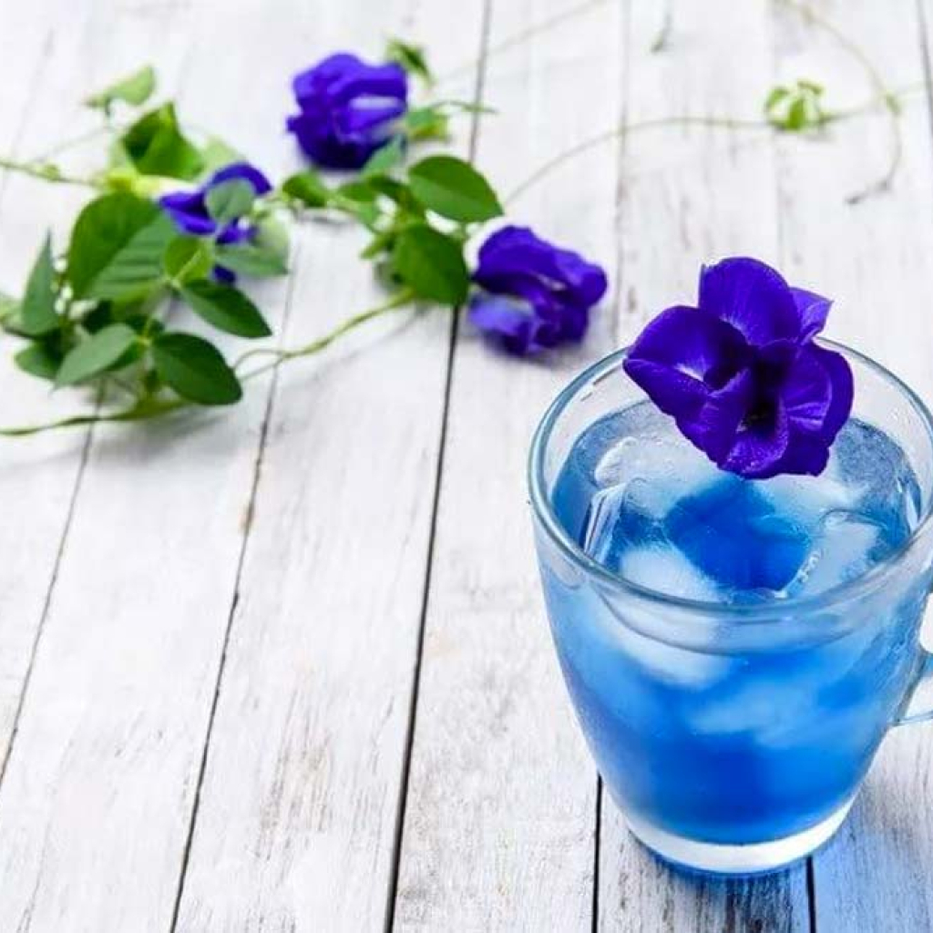 Hoa Đậu Biếc Khô 200g