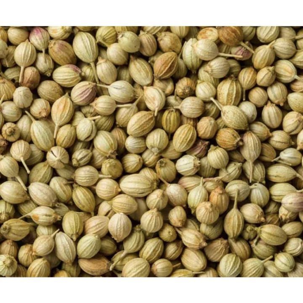 Hạt ngò 1kg