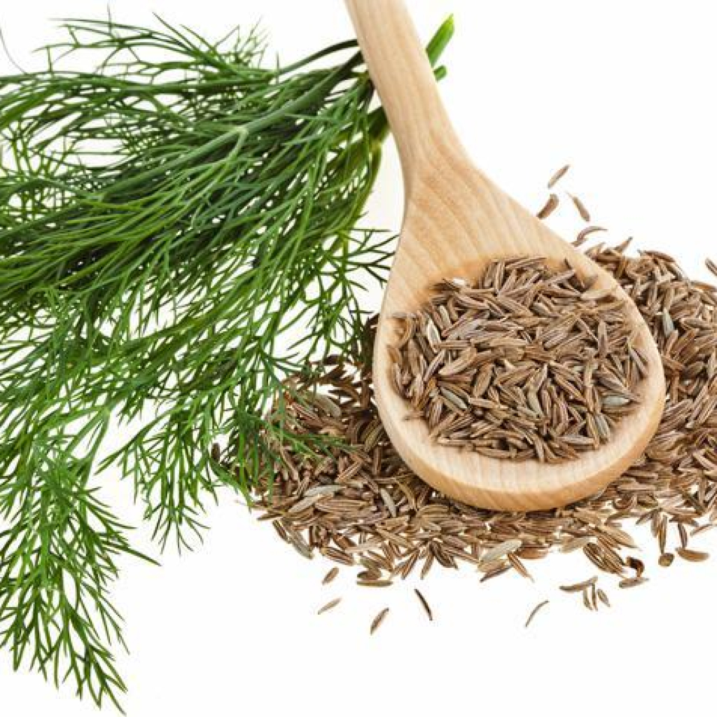 Hạt thì là Cumin Seeds