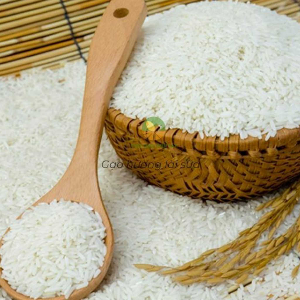 Gạo hương lài