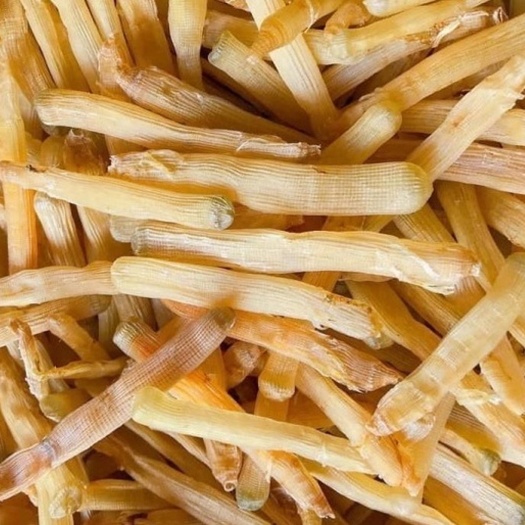 Sá sùng khô