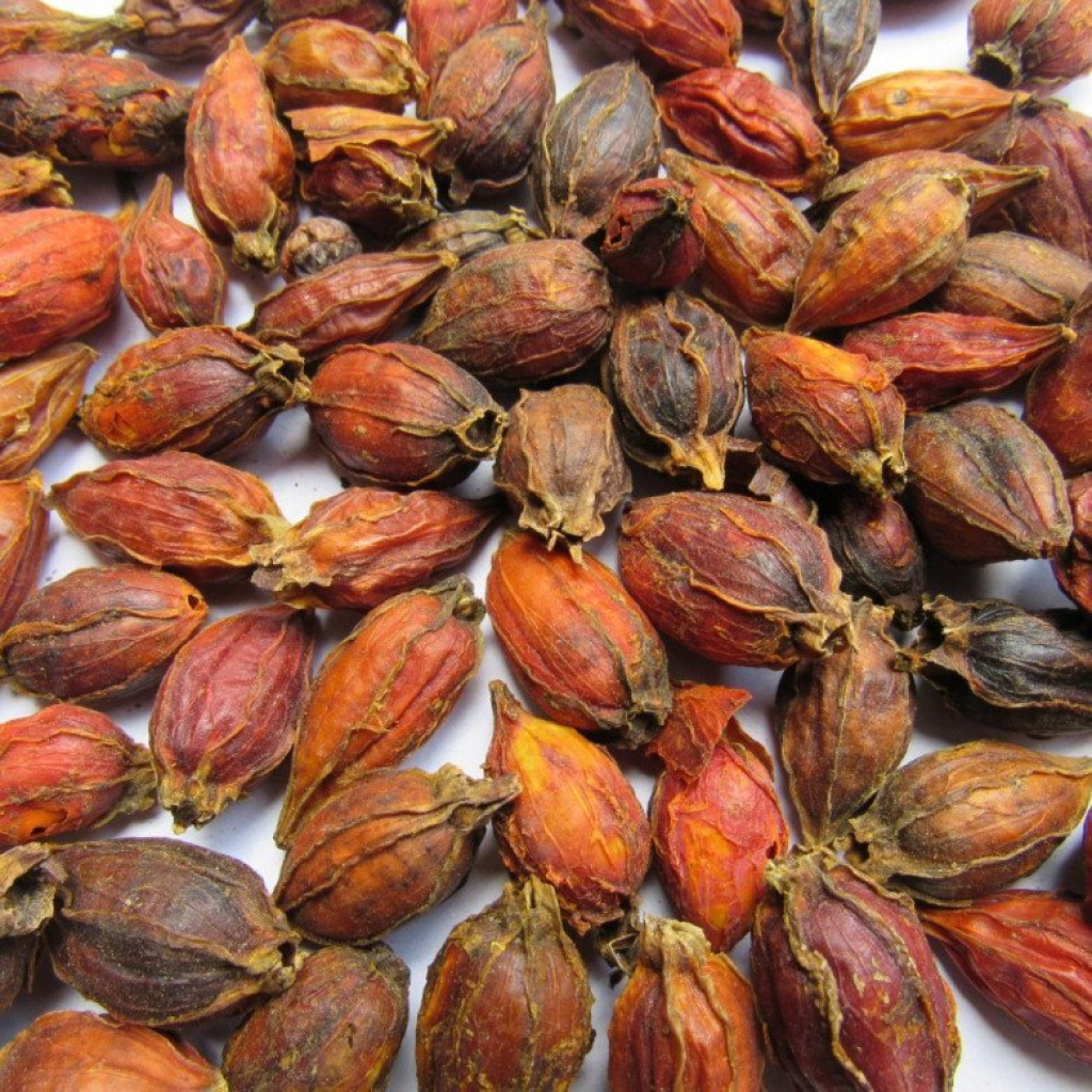 Quả Dành Dành 500g