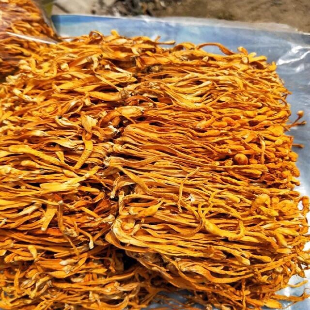 Hoa đông trùng hạ thảo khô