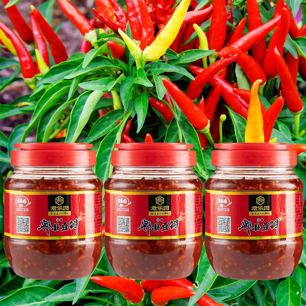 Ớt xay Doubanjiang 500g