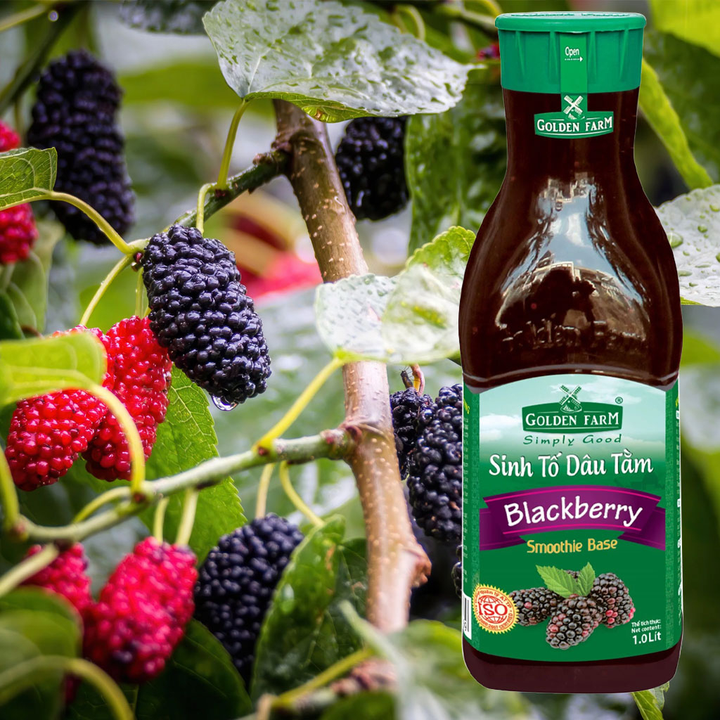 Sinh Tố Dâu Tằm Golden Farm 1L
