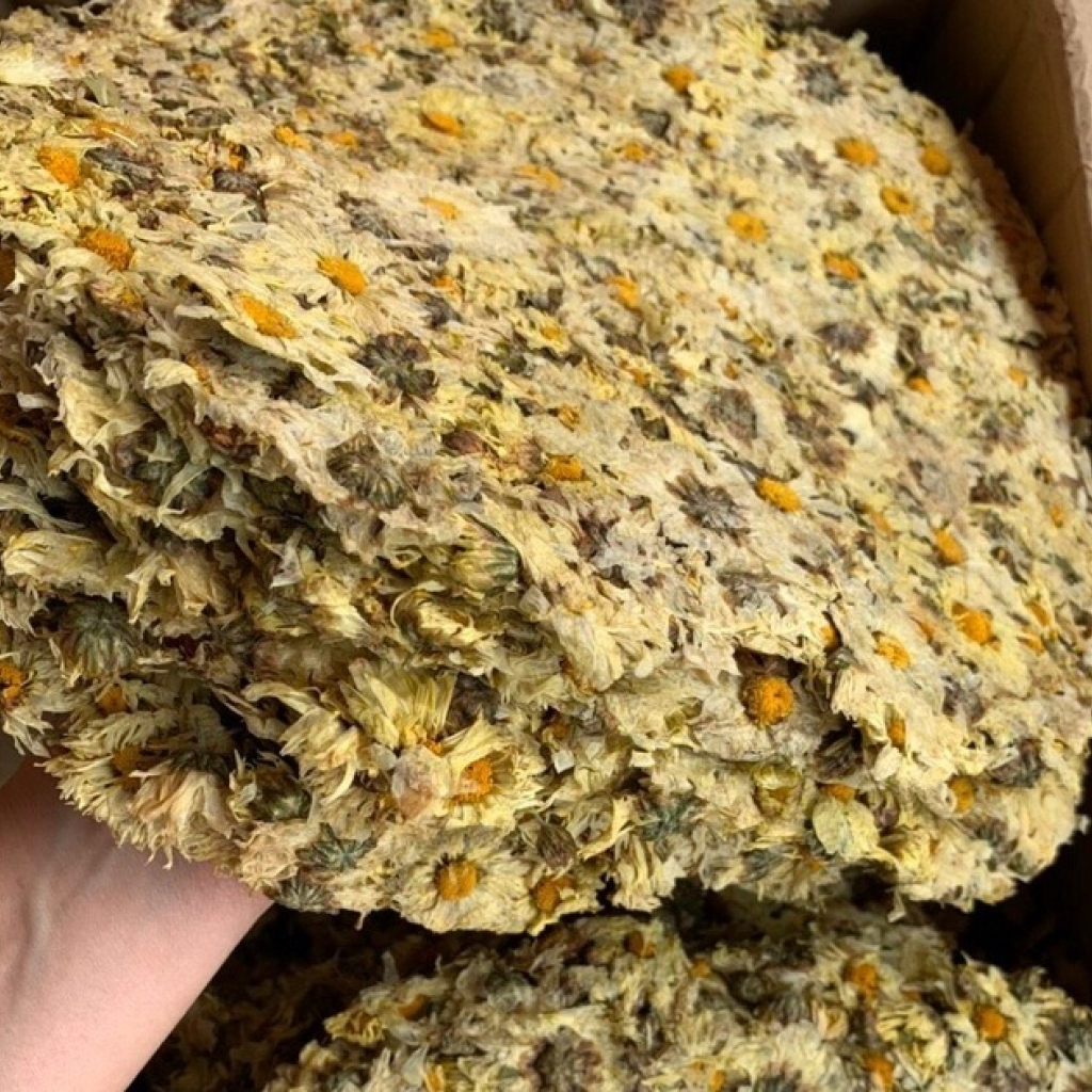 Hoa Cúc Trắng Sấy Khô Dạng Bánh