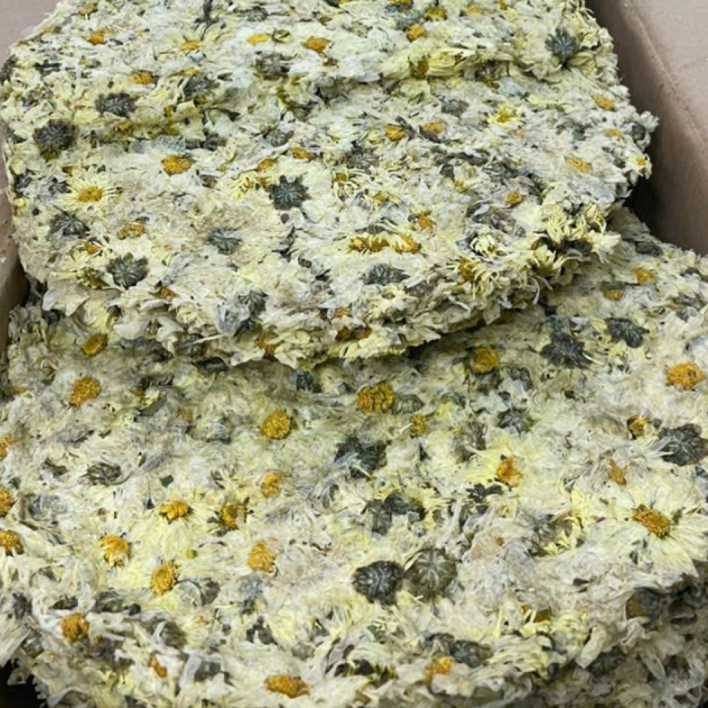 Hoa Cúc Trắng Sấy Khô Dạng Bánh