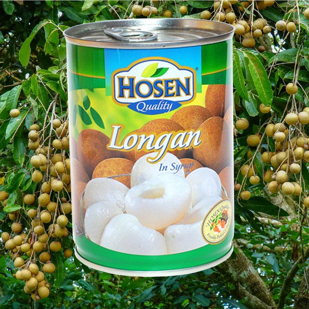 Nhãn Ngâm Siro Hosen Longan in Syrup 565g