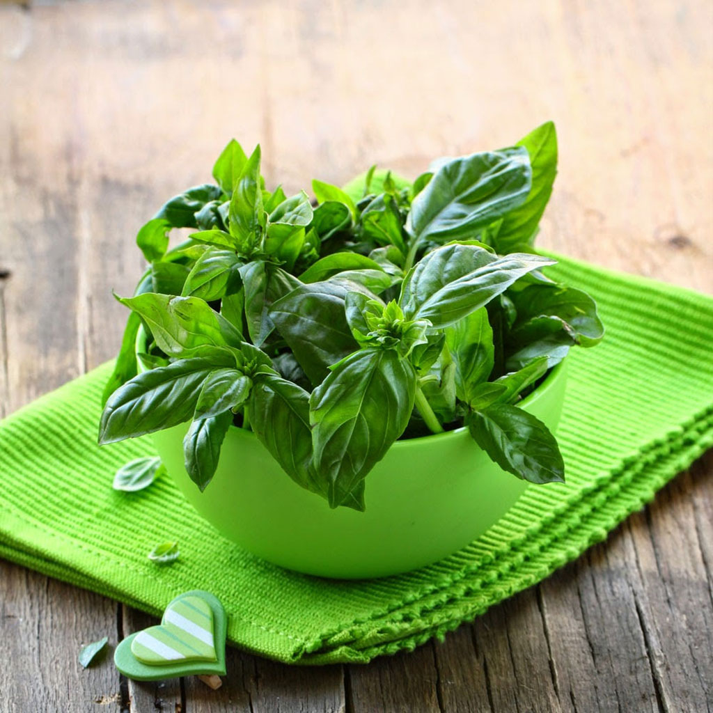 Lá Húng Tây Thyme  Leaves Khô