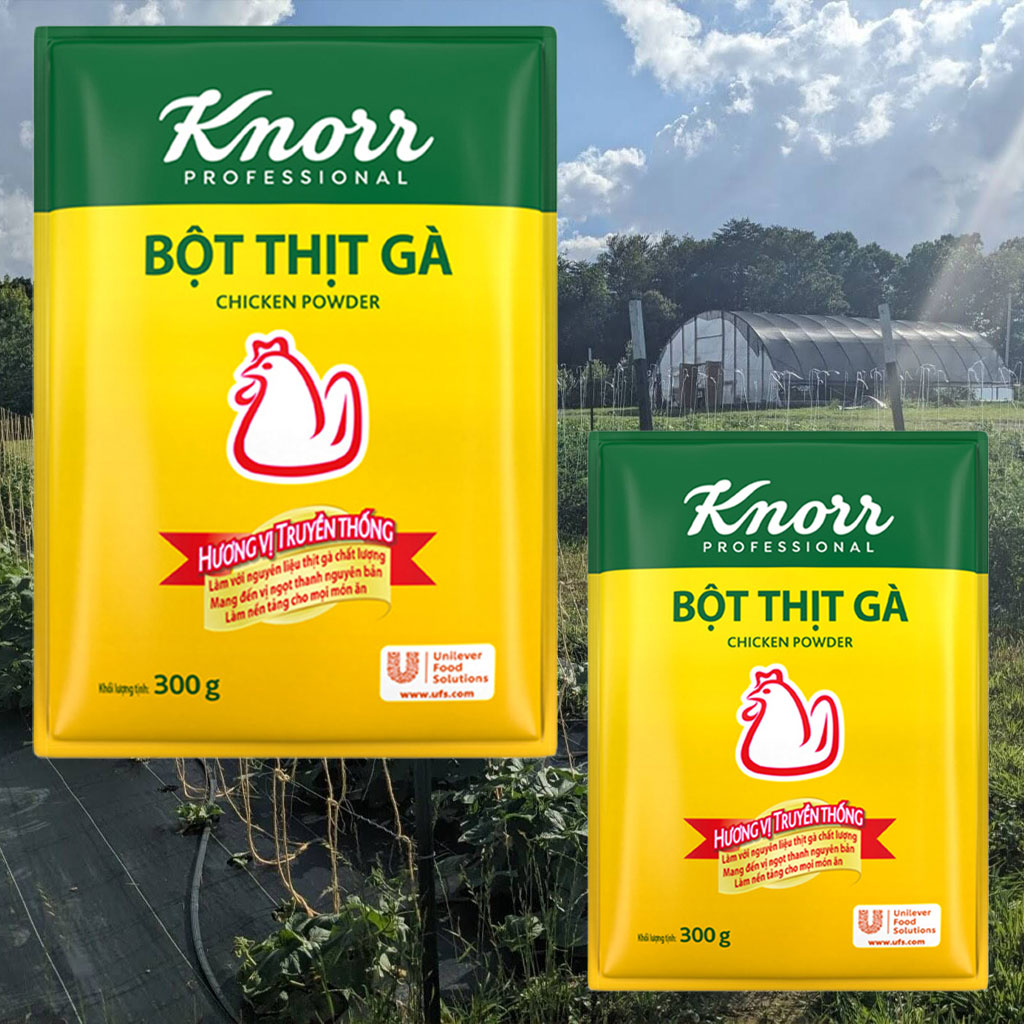Bột Thịt Gà Knorr 300gr