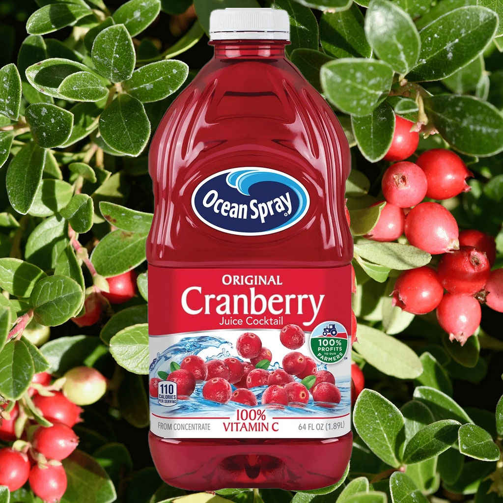 Nước Ép Nam Việt Quất Ocean Spray Cranberry Juice 1.89 Lít
