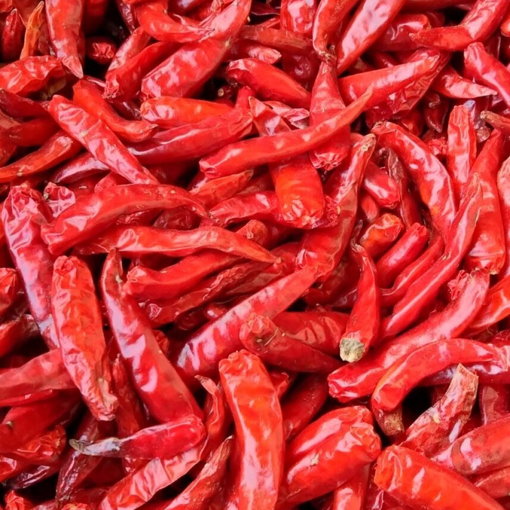Ớt Sừng Khô