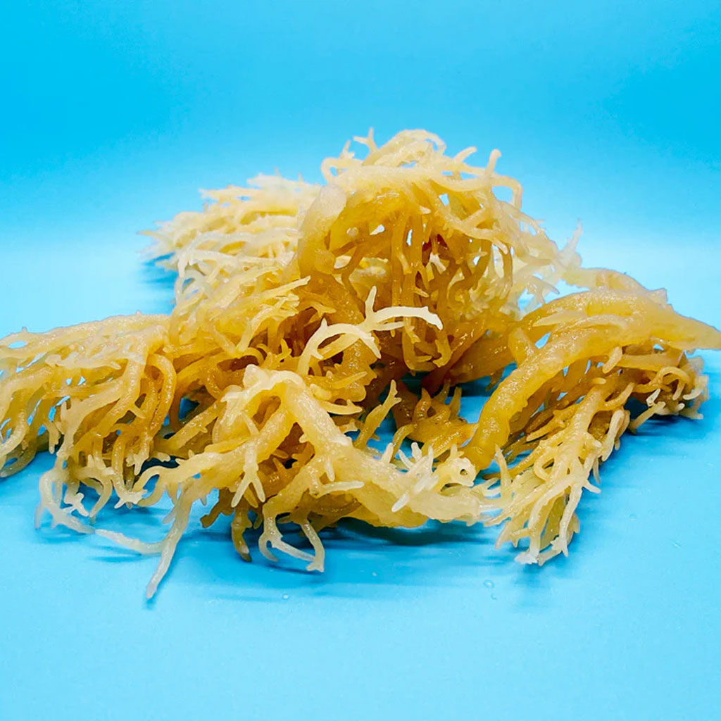 Rong Sụn Biển Cottonii Sea Moss 300g