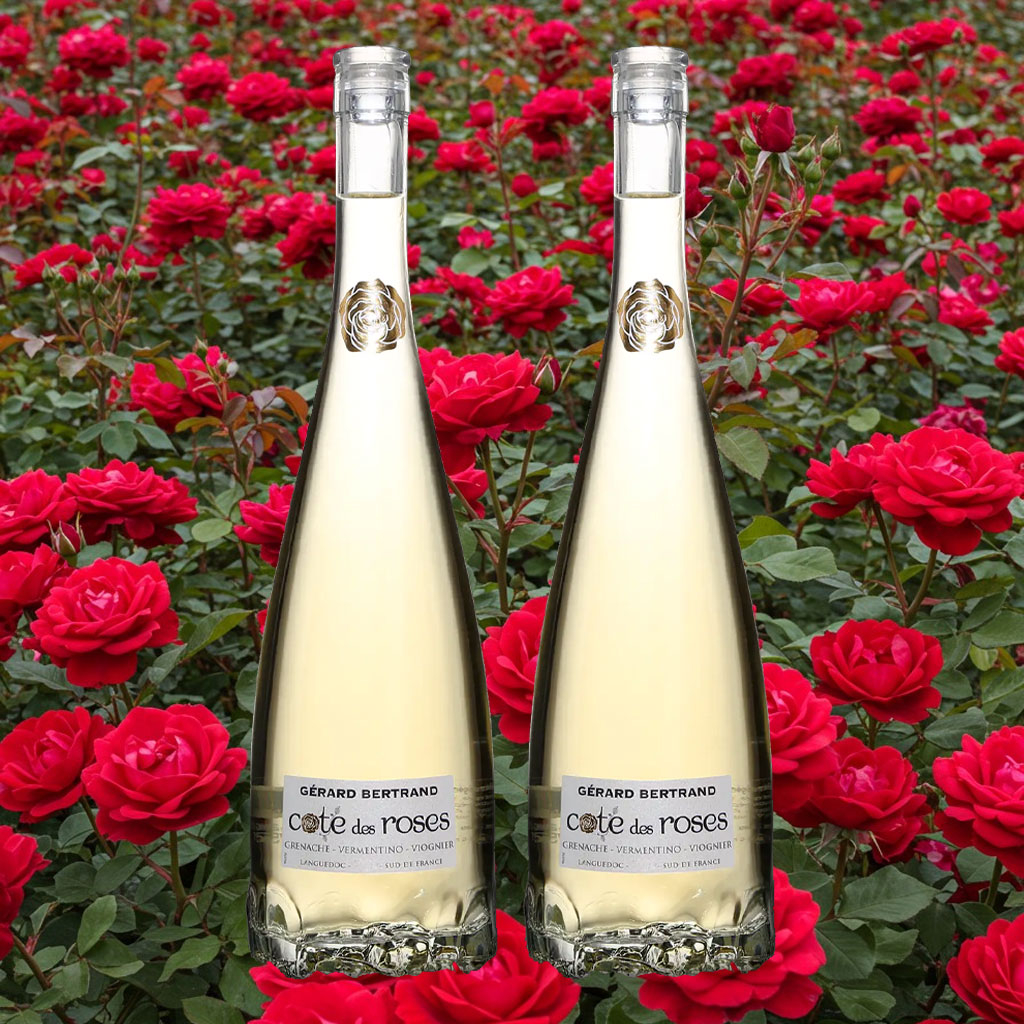 Rượu vang trắng Cote des Roses Chardonnay chai 750ml