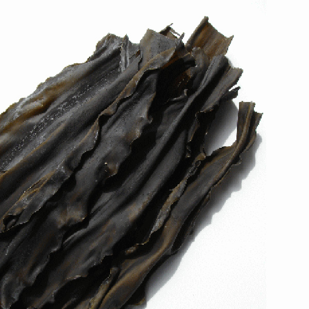 Tảo bẹ Kombu 500g