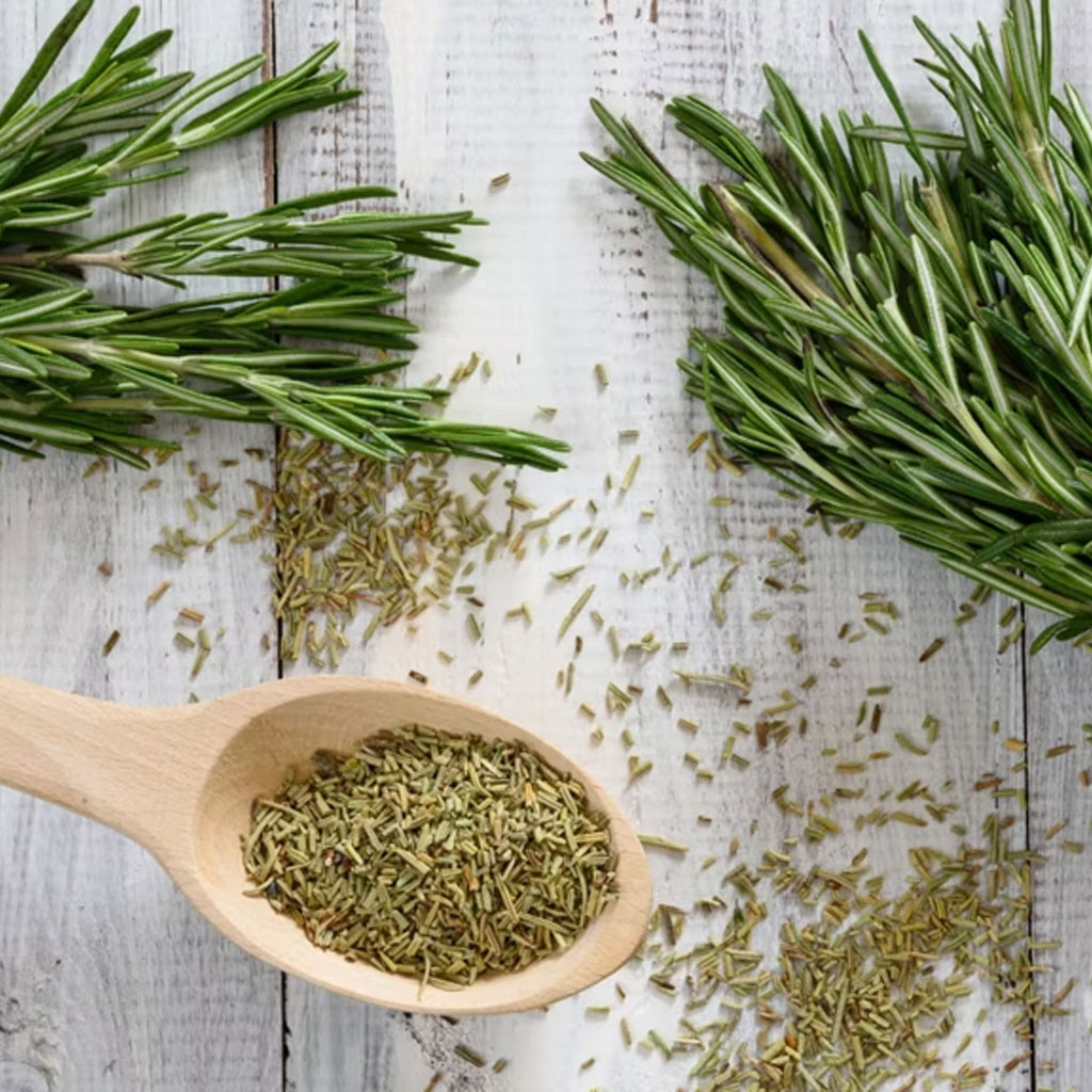 Lá cỏ xạ hương sấy khô Dried Thyme Leaves