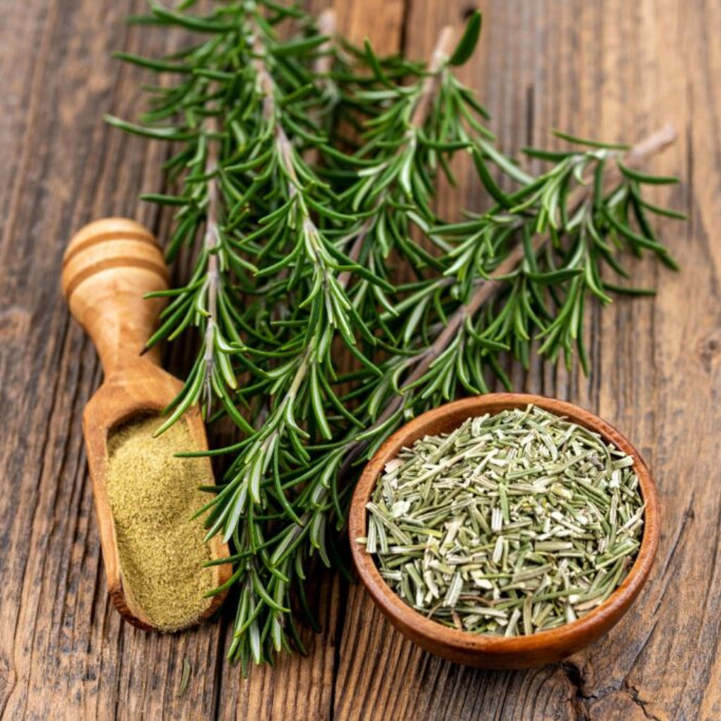 Lá cỏ xạ hương sấy khô Dried Thyme Leaves