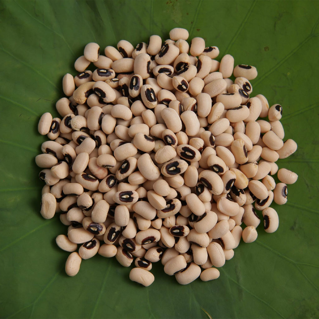 Đậu trắng hạt nhỏ
