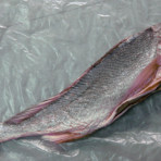 0181_CaSuuMan.JPG